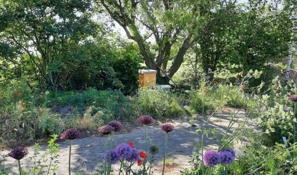 ecotuin van de vijfde weijde op de flipsweg