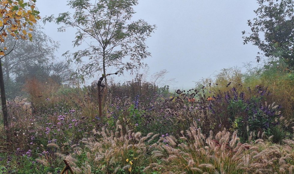 ecotuin van de vijfde weijde op de flipsweg