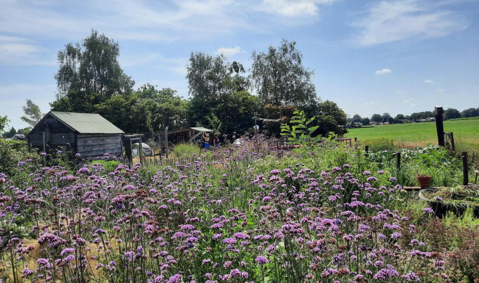 ecotuin van de vijfde weijde op de flipsweg