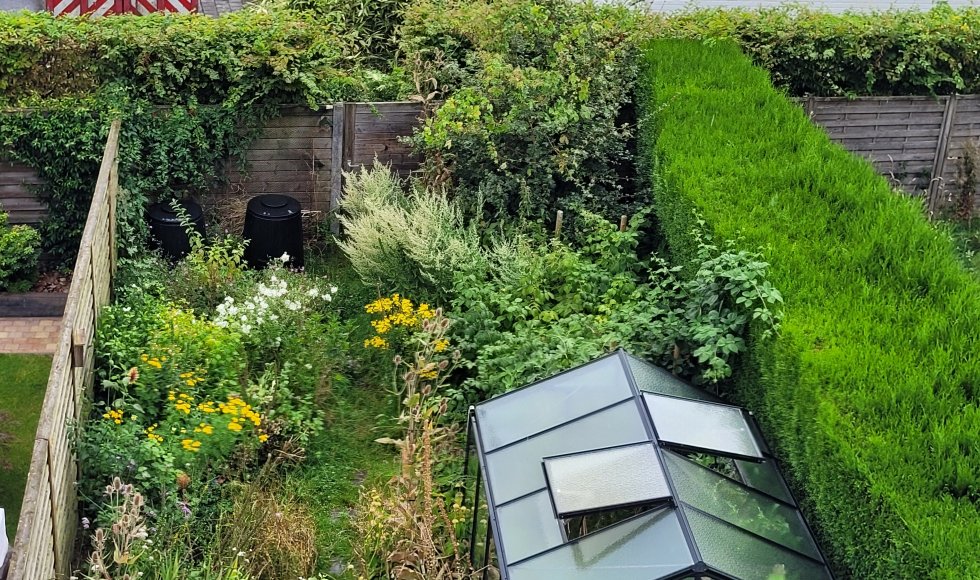 Een stadstuin vol leven en diversiteit