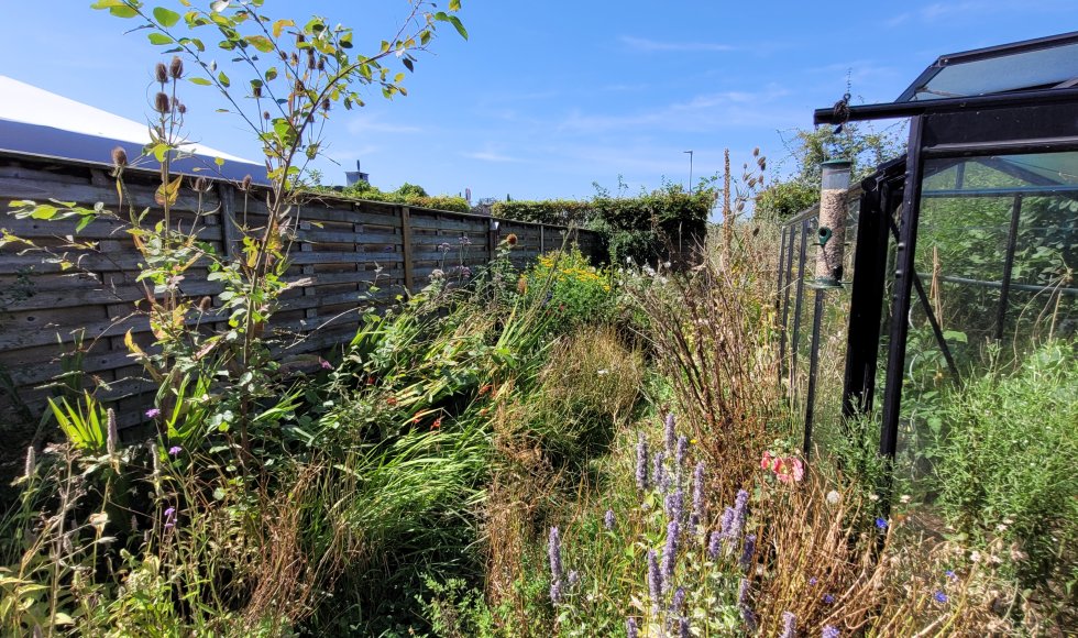Een stadstuin vol leven en diversiteit