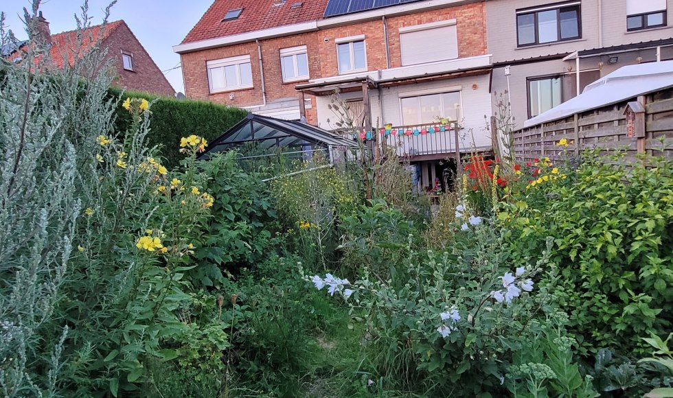 Een stadstuin vol leven en diversiteit