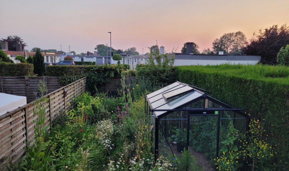 Een stadstuin vol leven en diversiteit