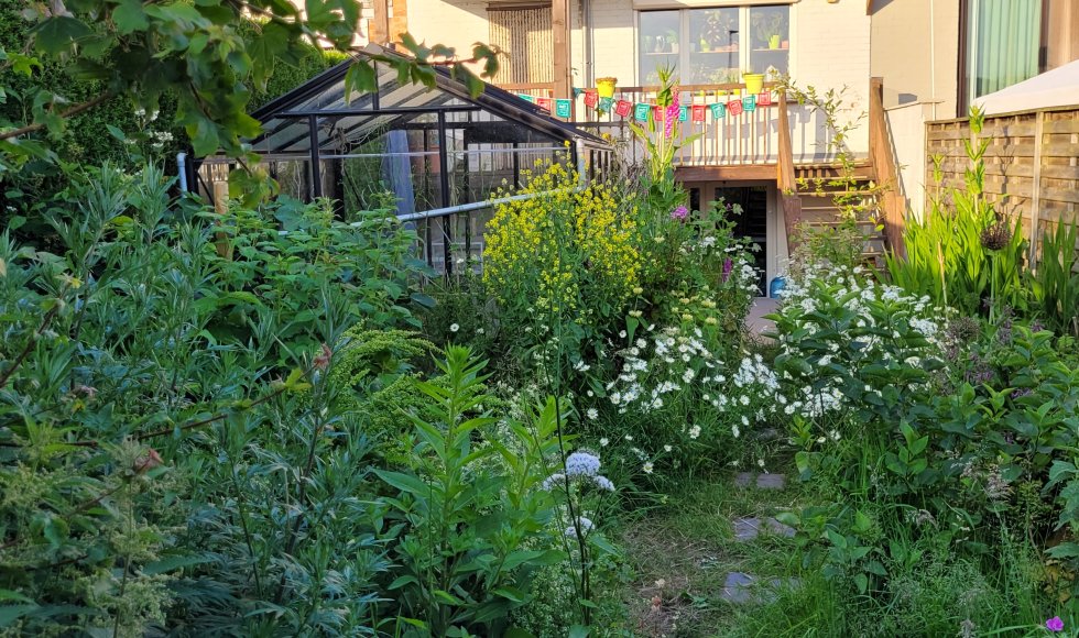 Een stadstuin vol leven en diversiteit
