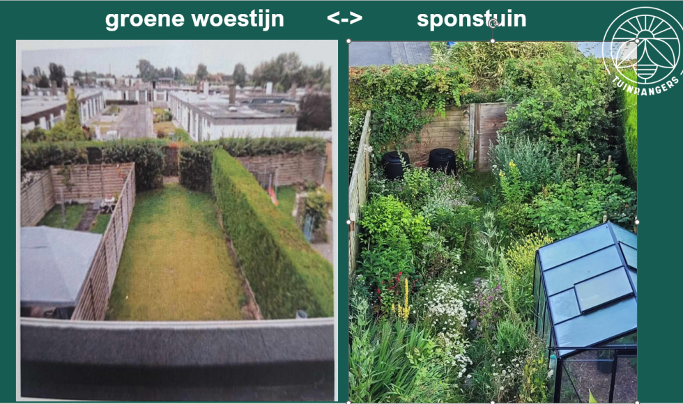 Een stadstuin vol leven en diversiteit