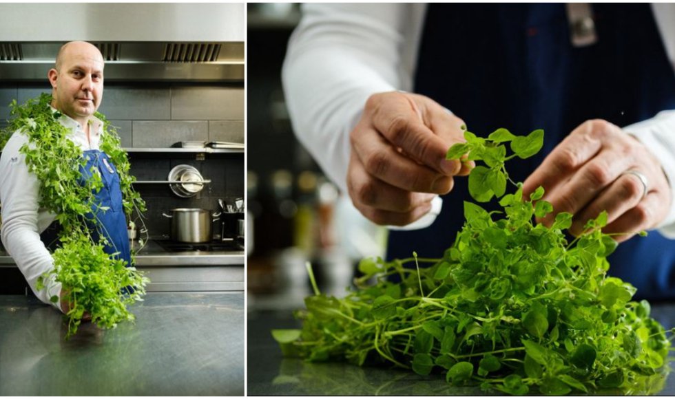 Rudi kookt met onkruiden