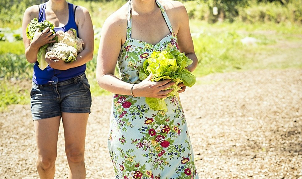 Samenkoken en oogsten