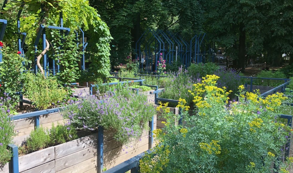 samentuin in provinciaal groendomein Hof van Leysen 1