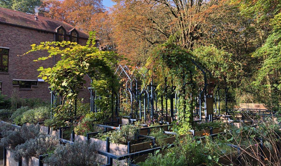 samentuin in provinciaal groendomein Hof van Leysen 3