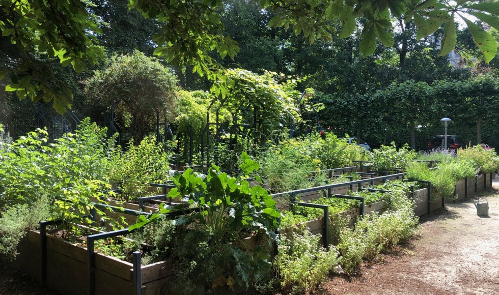samentuin in provinciaal groendomein Hof van Leysen 4