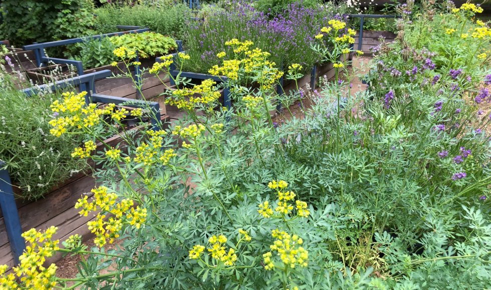 samentuin in provinciaal groendomein Hof van Leysen 5