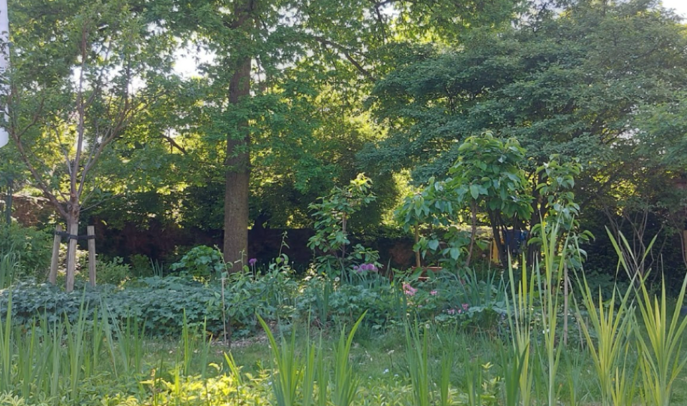 grote wilde stadstuin