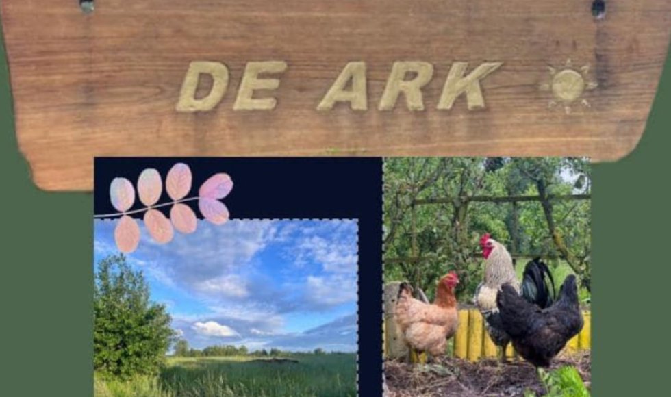 De Ark_Moorslede_Johan