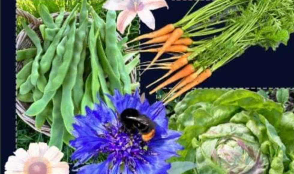 De Ark_Moorslede_Johan