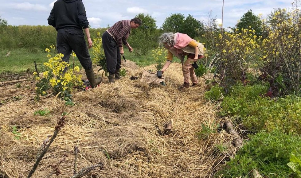 scherpenheuvel-zichem voedselbos zwaluweveld3