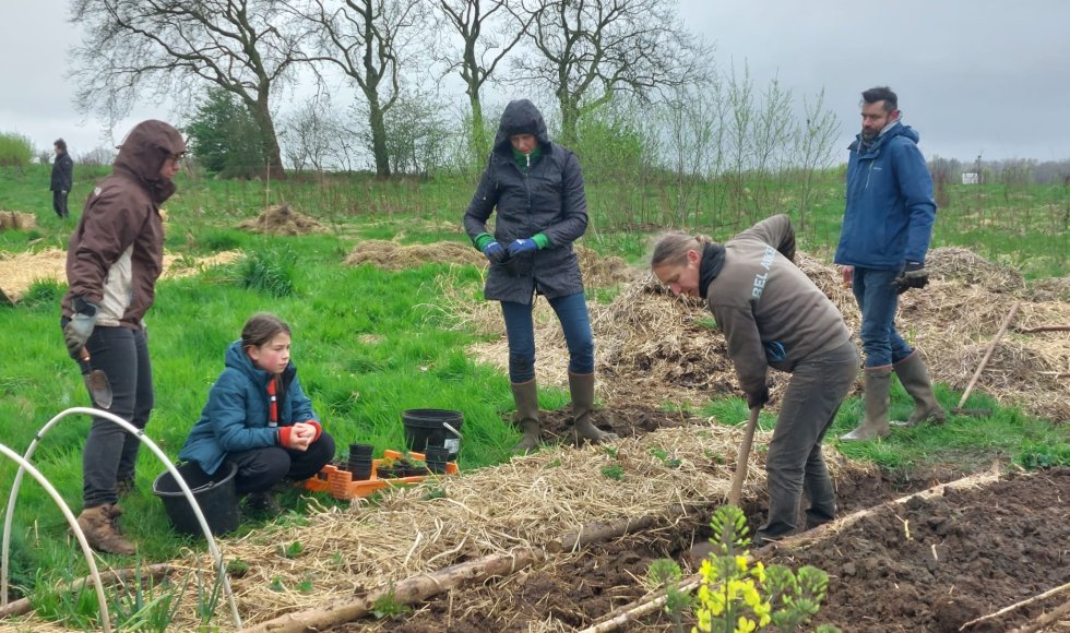 scherpenheuvel-zichem voedselbos zwaluweveld 1