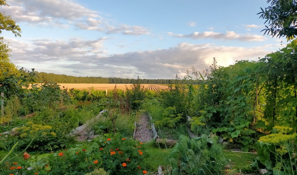 Zevenmeers Zeven Sellingen