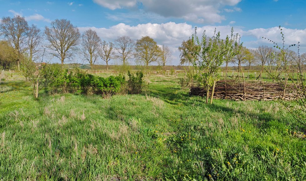 Zevenmeers Zeven Sellingen