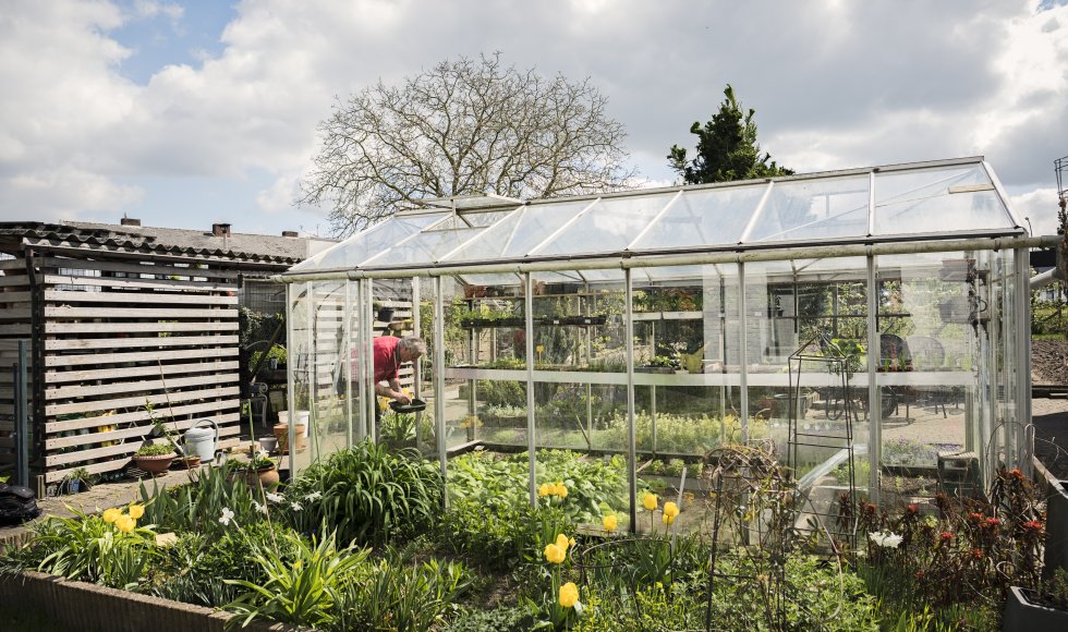 Serre of kas in de tuin