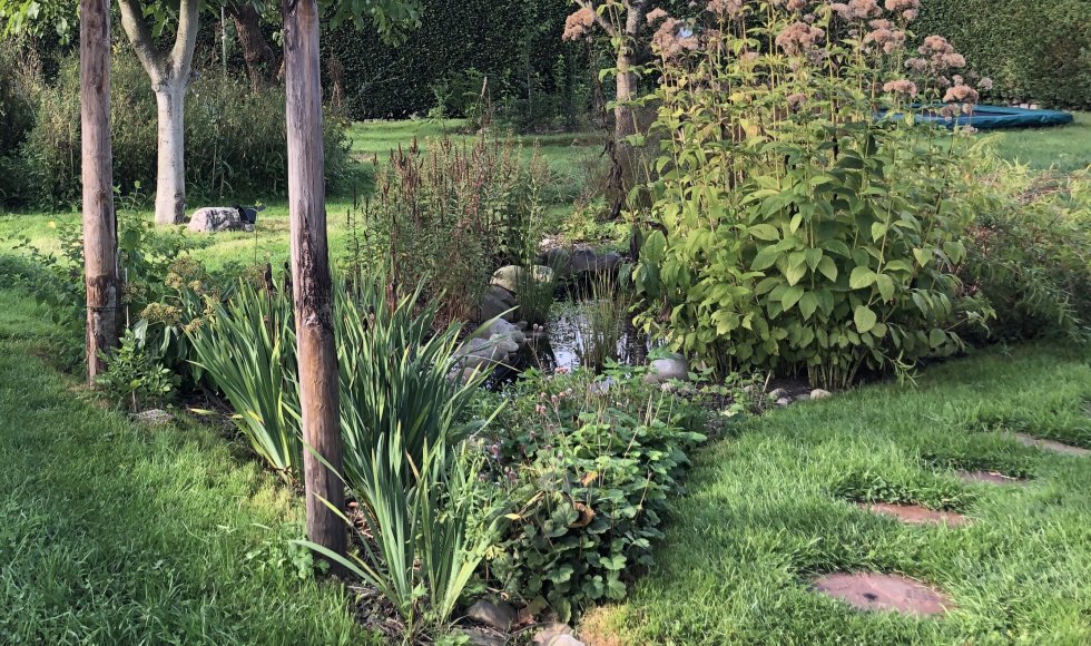 Sheerarendskerke Moekes Wildernis 4