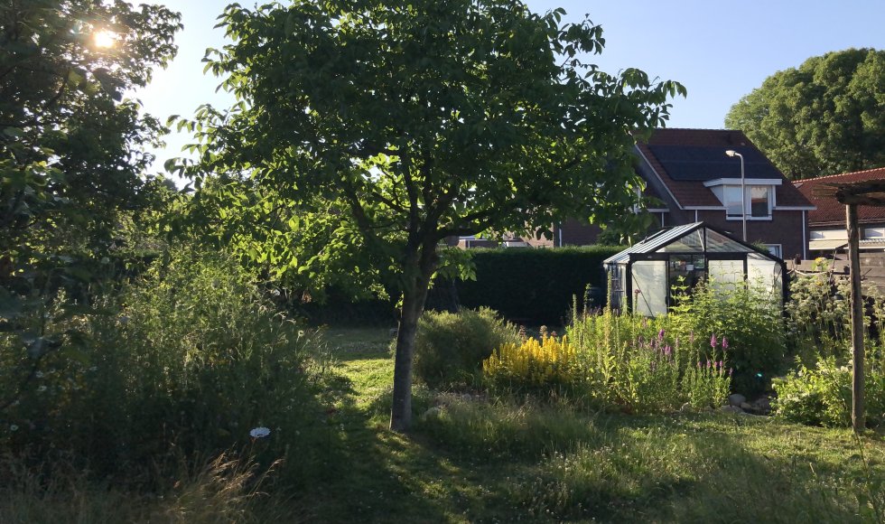 Sheerarendskerke Moekes Wildernis 5