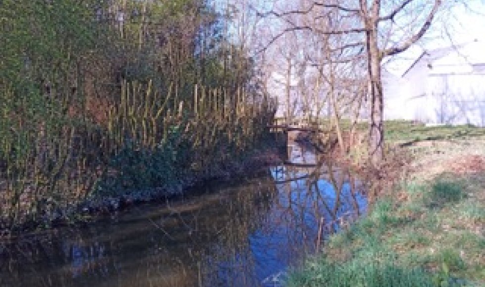 Kleibeek: voeding en voeling op biotuinderij