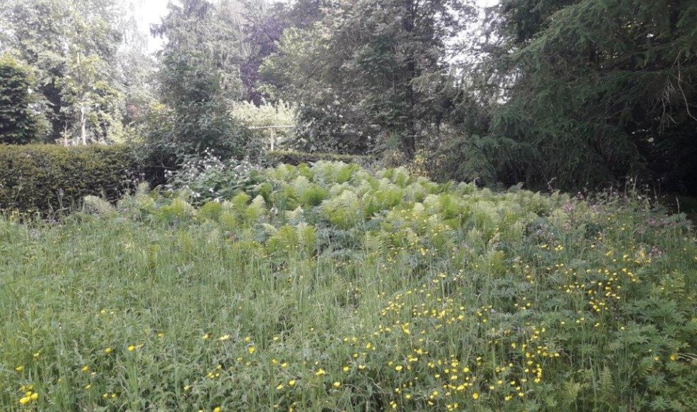 een plek waar iedereen welkom is-planten-dieren en mensen