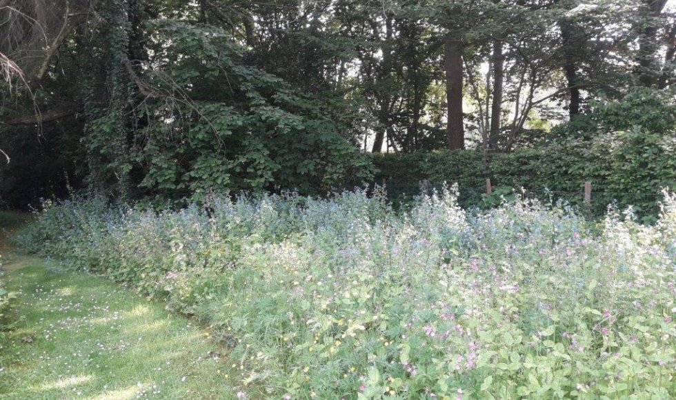een plek waar iedereen welkom is-planten-dieren en mensen
