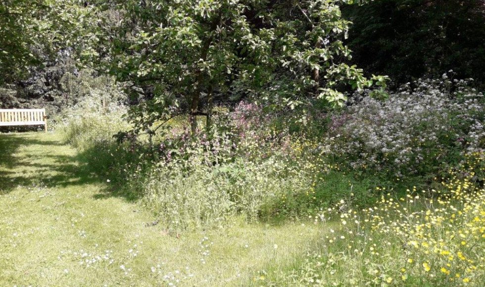een plek waar iedereen welkom is-planten-dieren en mensen