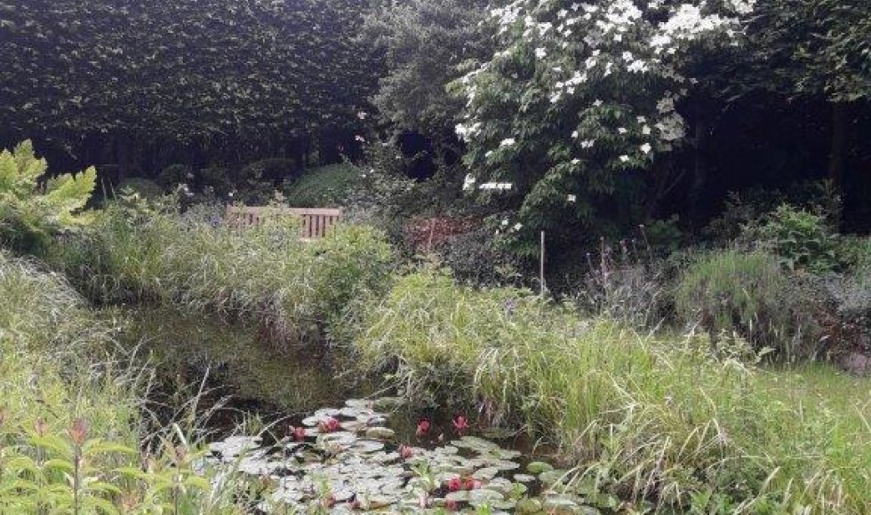 een plek waar iedereen welkom is-planten-dieren en mensen