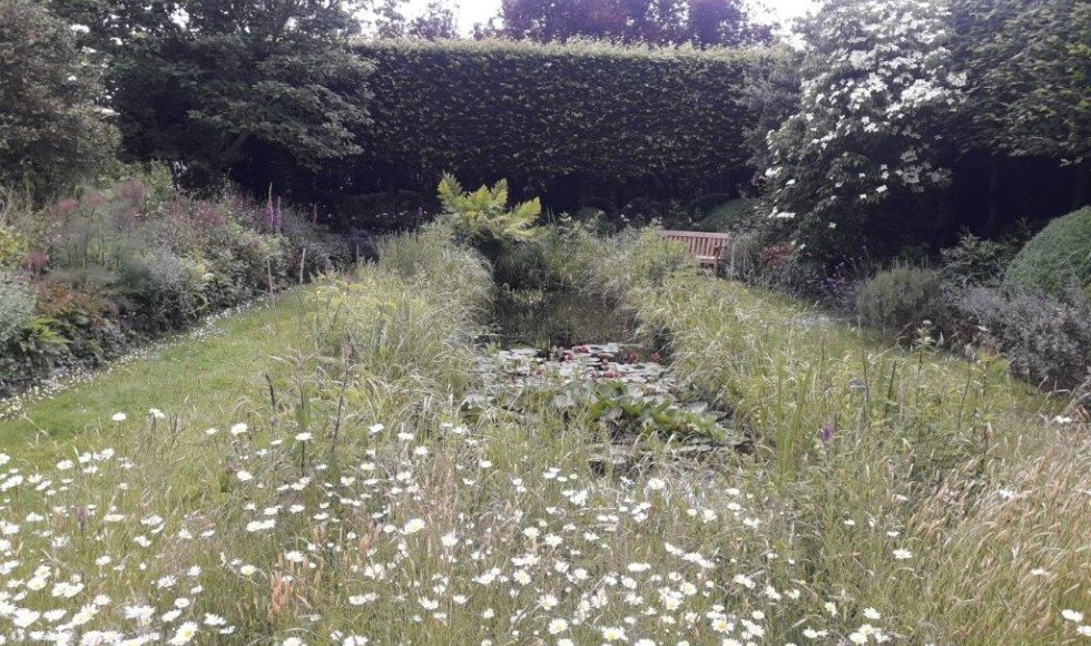 een plek waar iedereen welkom is-planten-dieren en mensen