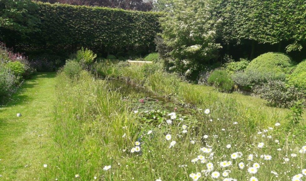 een plek waar iedereen welkom is-planten-dieren en mensen
