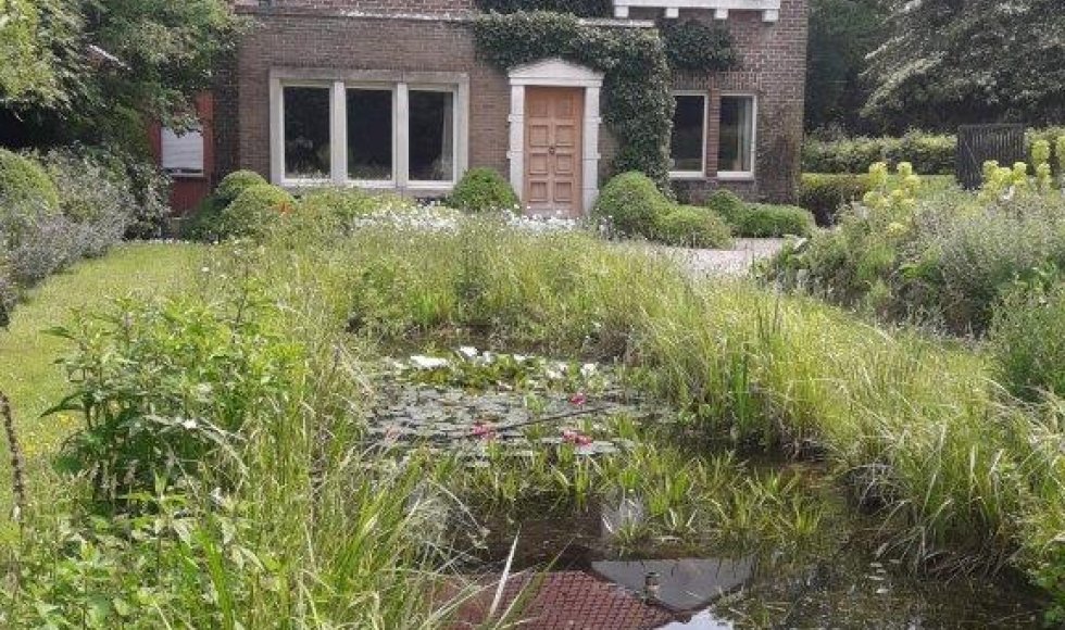 een plek waar iedereen welkom is-planten-dieren en mensen