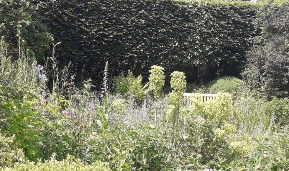 een plek waar iedereen welkom is-planten-dieren en mensen
