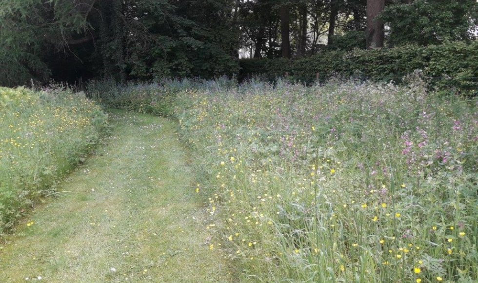 een plek waar iedereen welkom is-planten-dieren en mensen