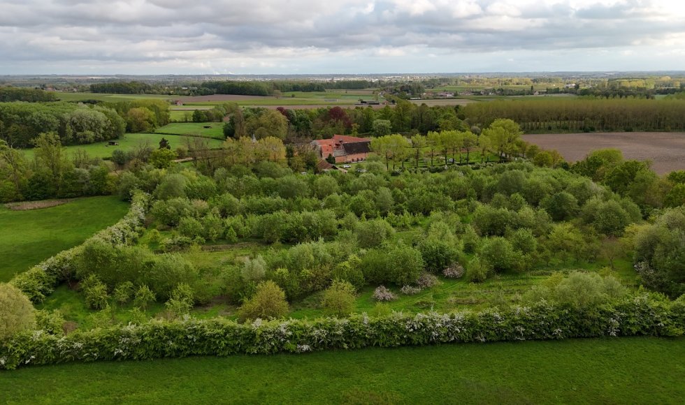 Voedselbos De Nieuwe Hof