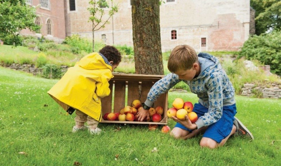 Stadsfruit