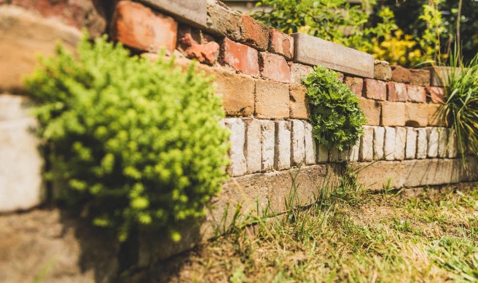 Natuurrijke tuin Martens