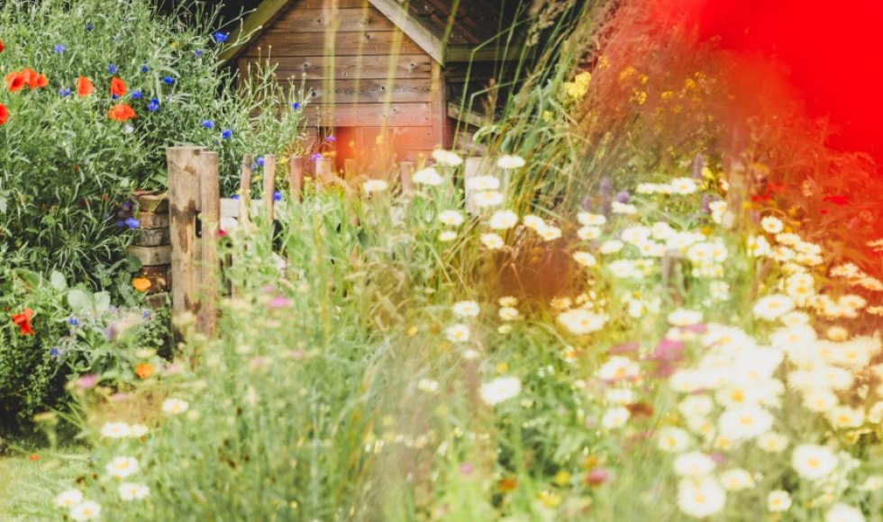 Natuurrijke tuin Martens