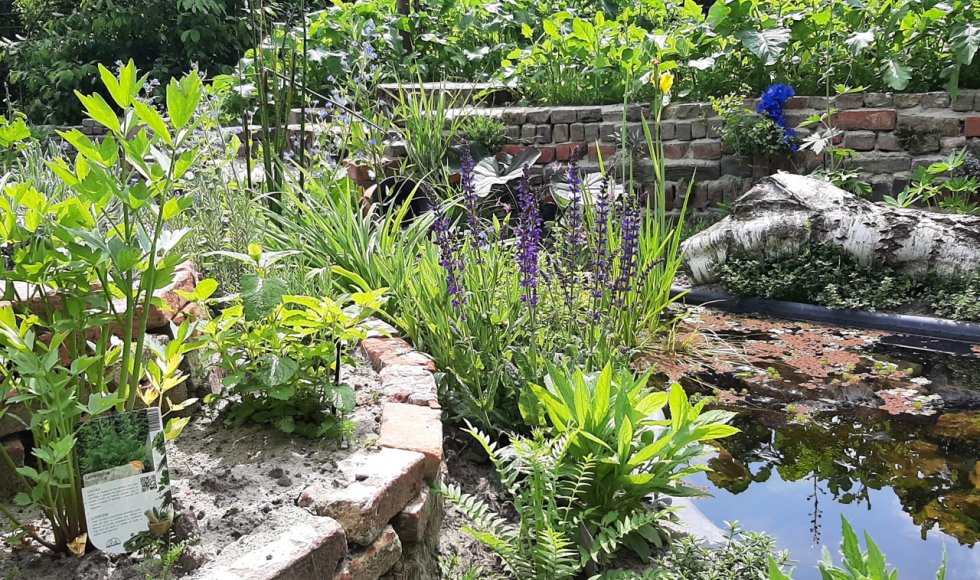 Natuurrijke tuin Martens