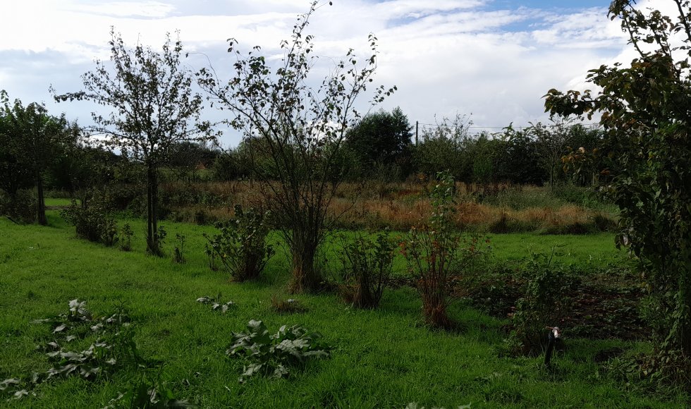 Davy Le Comte Stekene Eetbare Bostuin