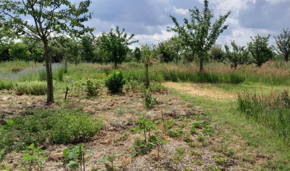 Davy Le Comte Stekene Eetbare Bostuin