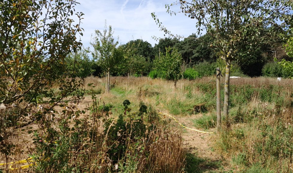 Davy Le Comte Stekene Eetbare Bostuin