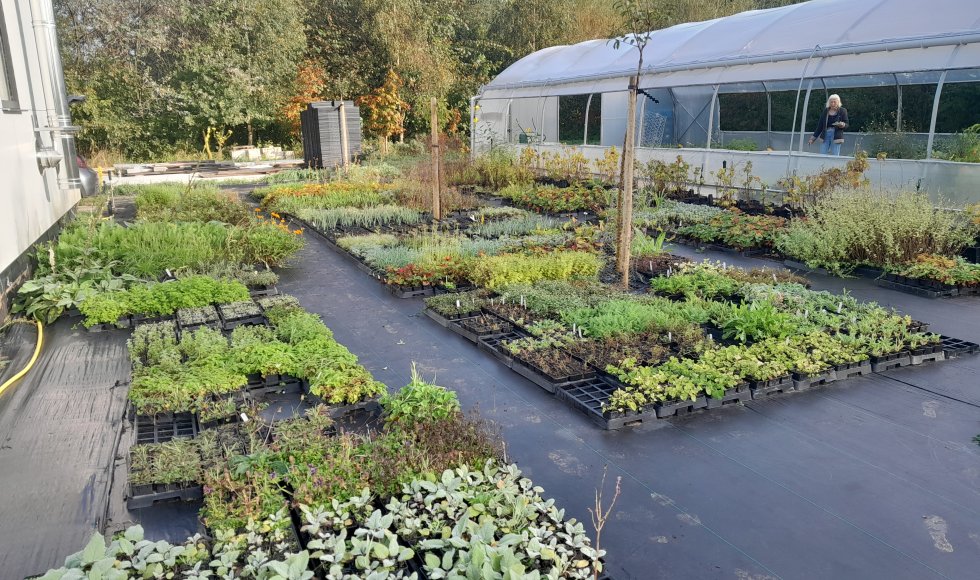 Davy Le Comte Stekene Eetbare Bostuin