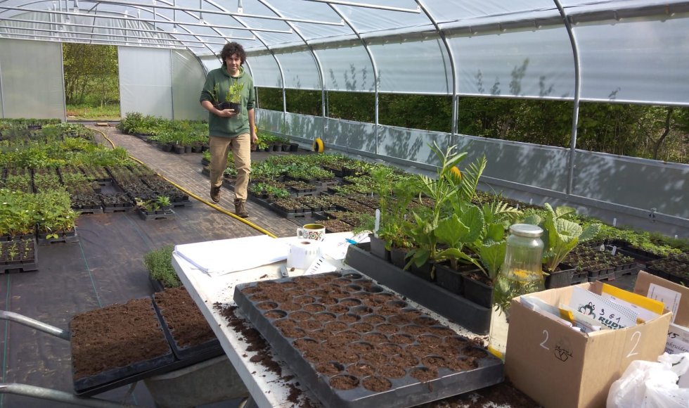 Davy Le Comte Stekene Eetbare Bostuin