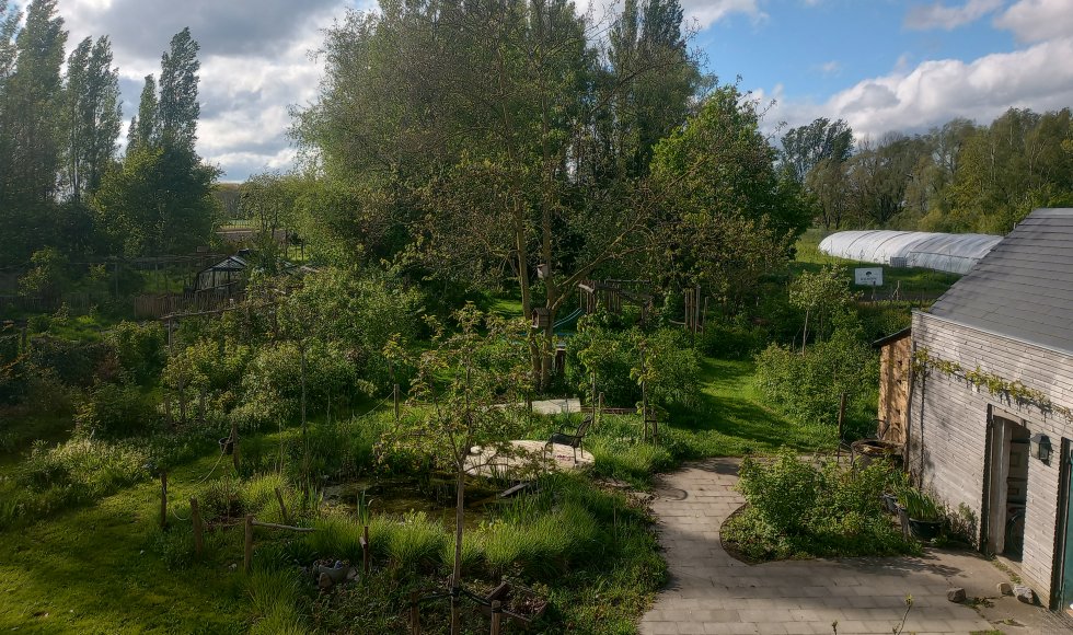 Bellem ecotuinhoogstamboomgaard le jerome cider 2