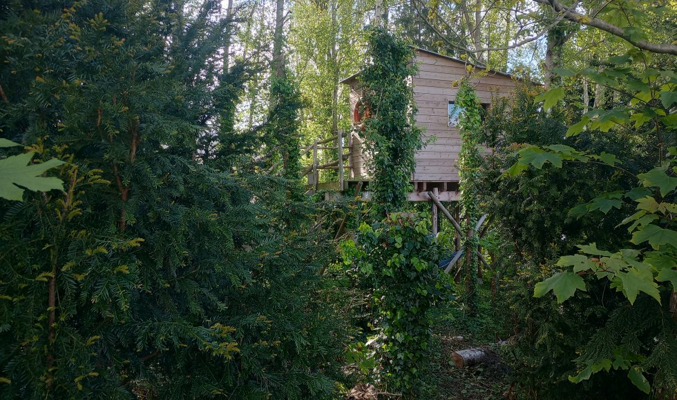 Bellem ecotuinhoogstamboomgaard le jerome cider 3