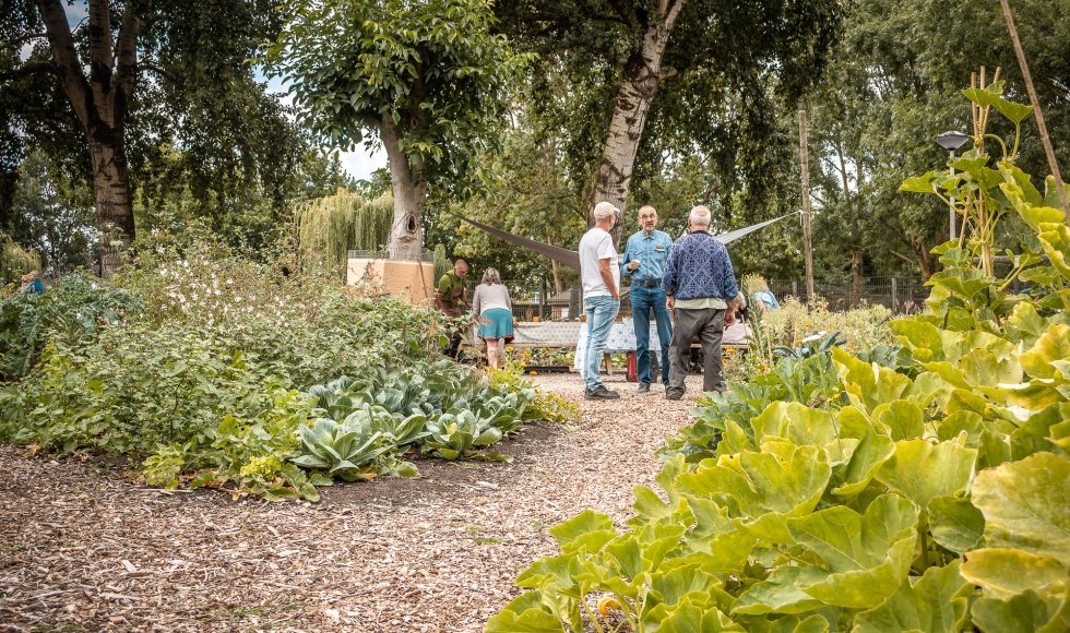toekomsttuin