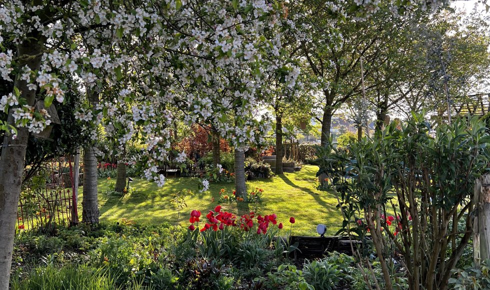 Tuindokter_Endorse_Stefaan Binge