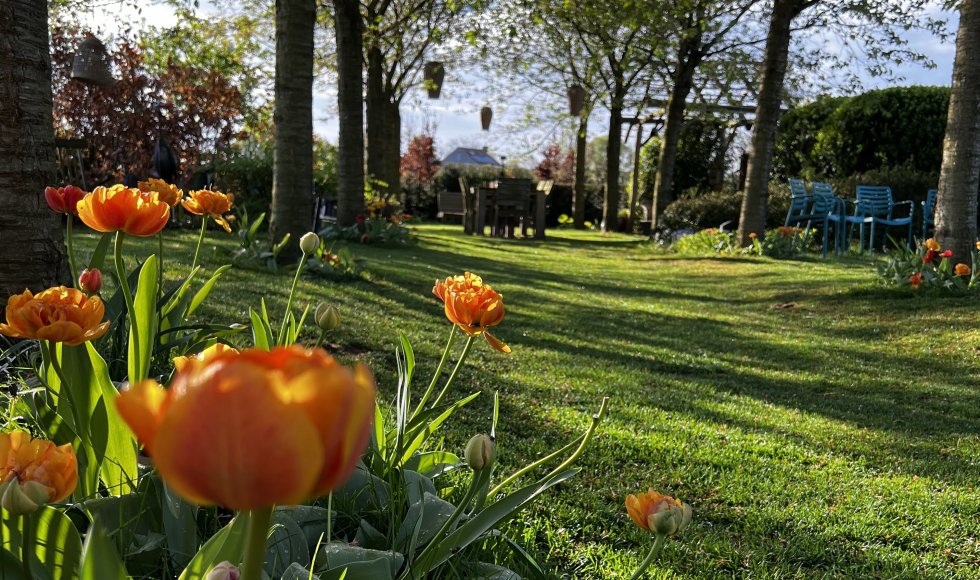 Tuindokter_Endorse_Stefaan Binge